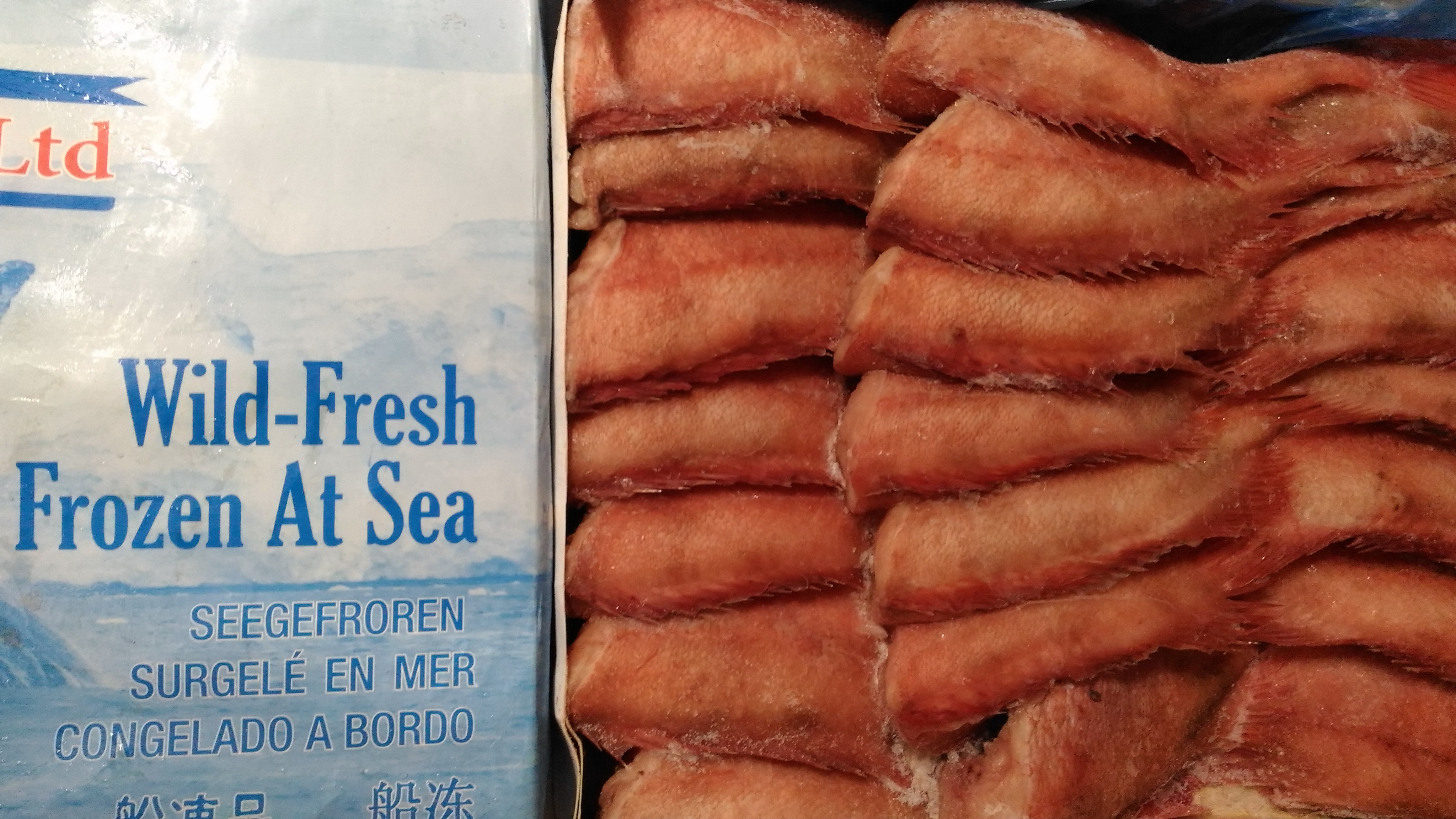 ���� �������. ��������� �����: ������ � ����, ����� � �������, ��������� � �������, ������� � ������. ����� �� ����� ����-8! ������� 8 ��! ������ ����� 2016 �� ������ �����!