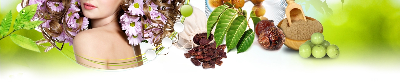 ���� �������. ����������� � ����������� ������ ��� ������� � ������� - ��������� �������, �������, ����������� ����������, ������ �����, ���, �����, �����, �����, �������� ��� ������ � ������������