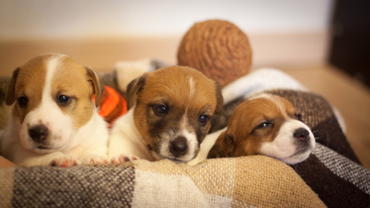 ����� ����� �����!