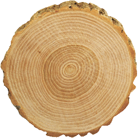 �������� ������ ������� ������ �� ������ - ���, ���, �����, ����������� ������, ������. �����, ������-������, ���, �����. ������ ������� �������� ������� ���������� �������� � ��������� ������ �� ����������� ����������. ������� ������- ������� ��� ���� � 