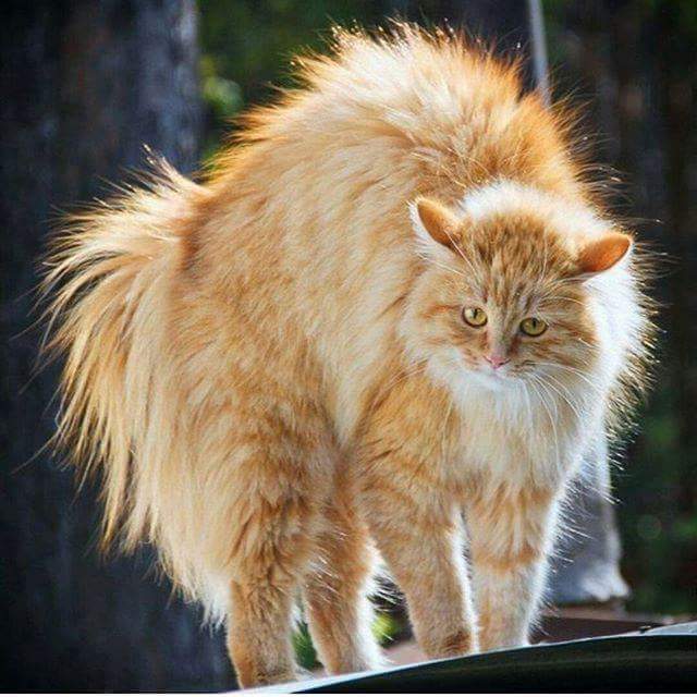 ����� ���� ��������� �� �����, ��� ������ �� �������...