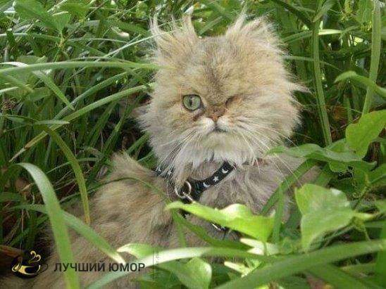 ����� ��������� � �����������. ��� �����������, ��� ��� � ���������� �... ��� ���...