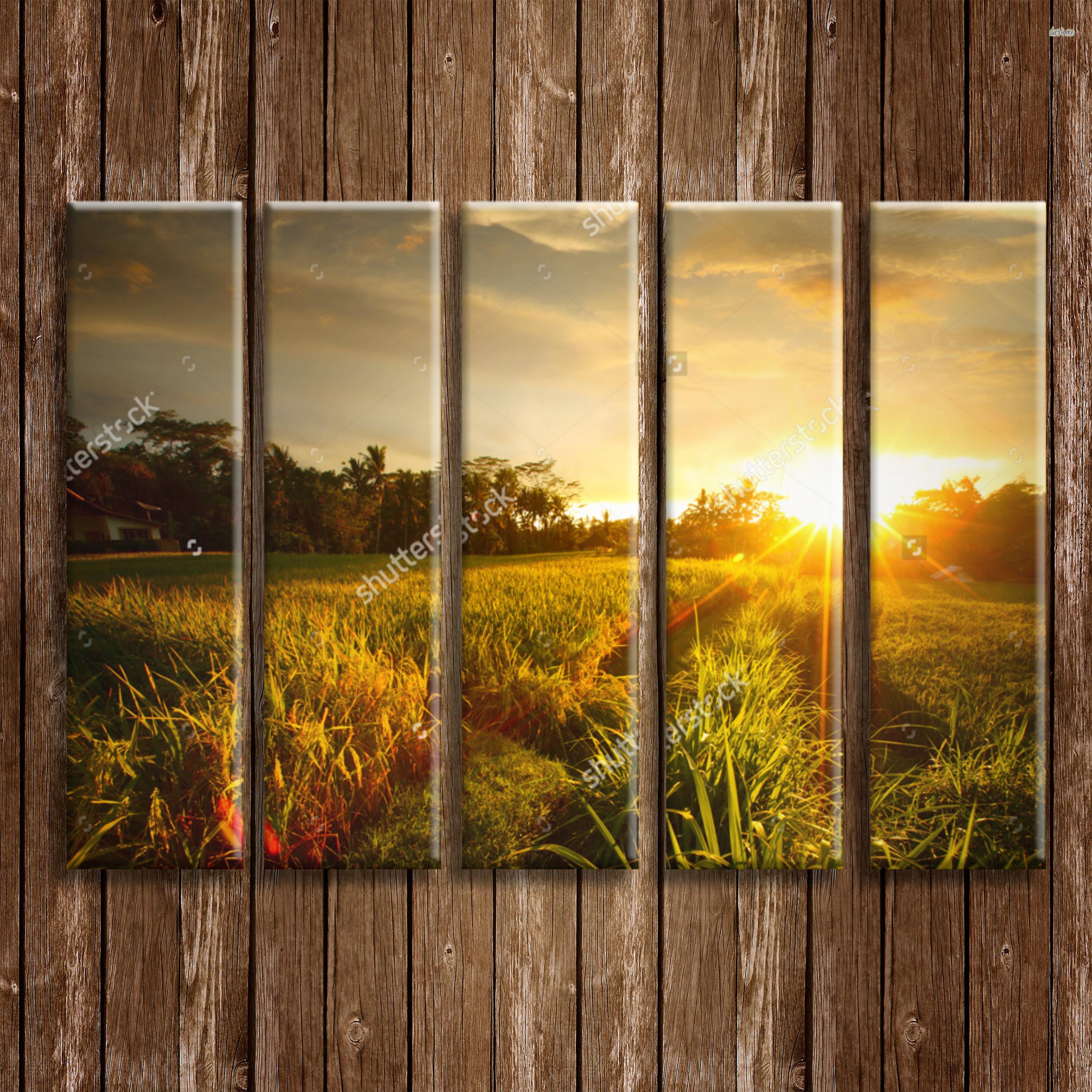 ���� �������. ��������� �������. ���� ����� - ���� ���!!! �����, ����������� ���������!!! ����� ���������. �����-3