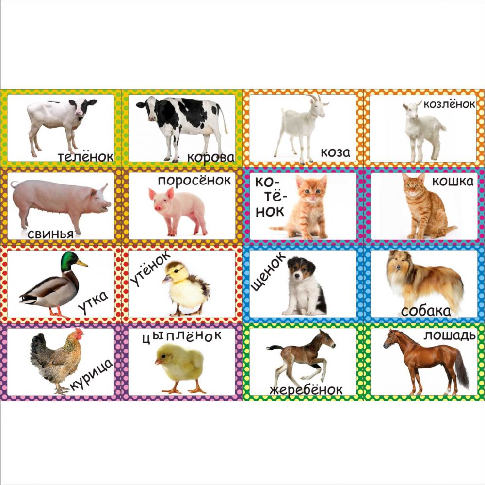 Smile Decor-����������� �������, ��������� ��� ����������.����� ������-����������,����� ������-��������,����� ���� �� ������ � ������.����� 6