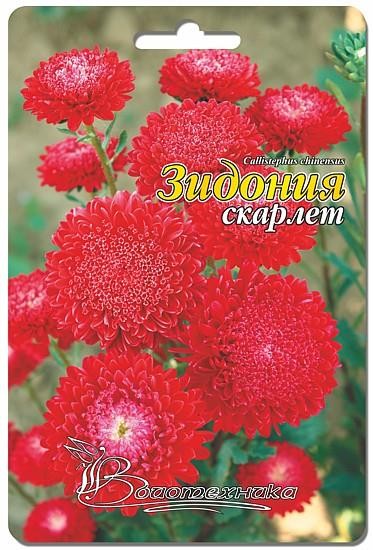 ���� �������.������ ����������.����� 1