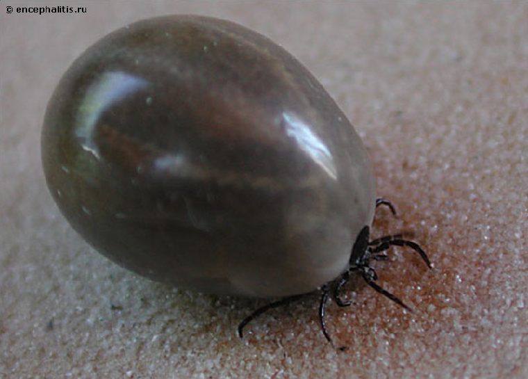 ����� ����� ���������� ��������� ������� �� ������������� ��������� �����, �����, ����� �� ������ �� ��������������� ������!