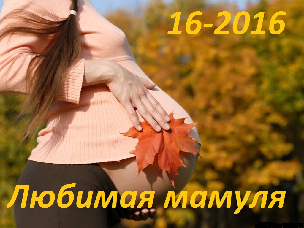 ���� �������.������� ������-16-2016.����� ������ ���� �� ���أ ��� ������� � ����-� ���. ������.������.��������� �