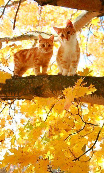 ������ ����� ��������, ��� �� ���� �� ���� ������ ����...