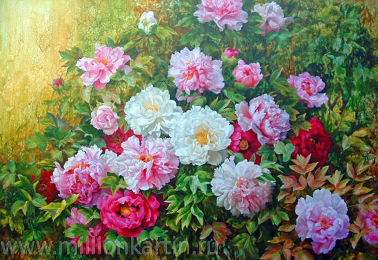 ����� �� ����� 2017! ����������� �����!