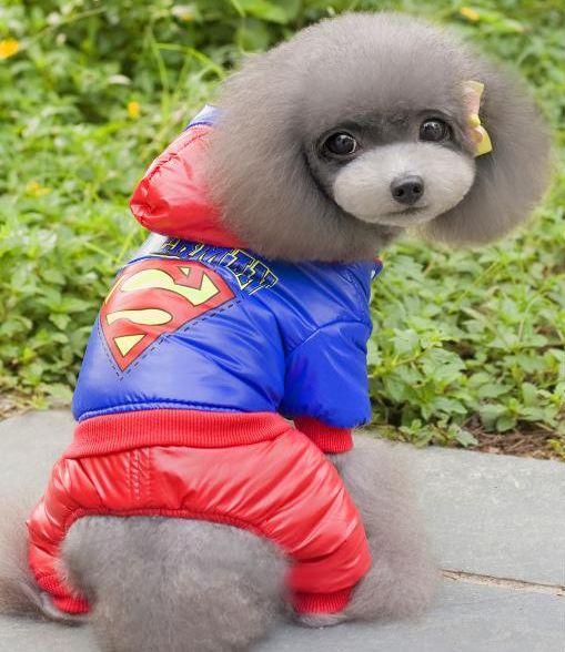 ������ ��� �����. �������� ��������