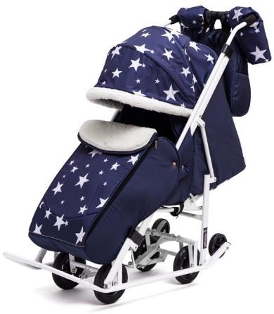 ���� �������. �����-������� ��� ����� , ������ ������ ��� ���� 2016-2017.