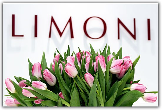 ���� �������.������-����� ����� � �������� ������ ��� ����� �����.���������� 50%!������� ����� ���������.��� �����.17