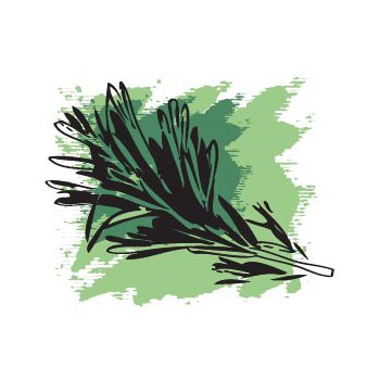 ���� �������. ����-11