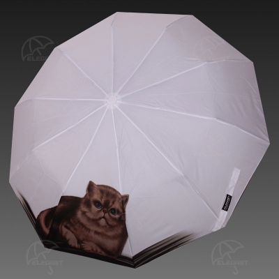 ���� �������. ����� ��������� �������� �� ������ �����, �������, �������. �������� ���������!!! ����� ������, ������ ���� �������!