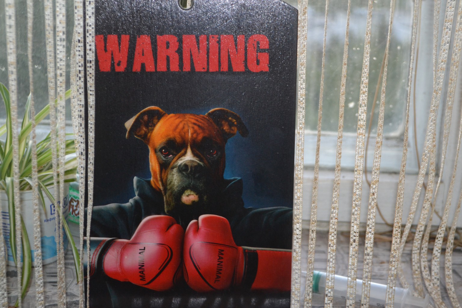 ������������ ����������� ����� �� ����� ���� �� 145 ������