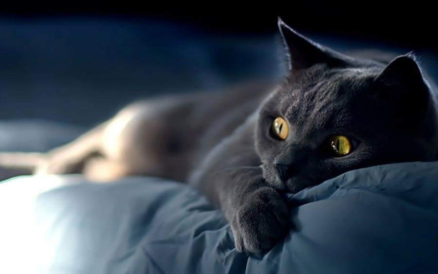 ������ ����� �����, ��� �������� ���� ��� �����, ������ ��� ����� � ������ ��� ����������...