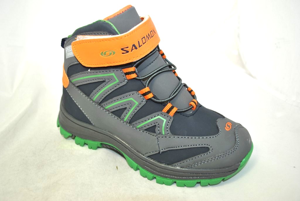 ���� �������. ���������� ����� Bona - �����, ������� � ������ ��������� � ������� ��� ����� � ����������. �����������