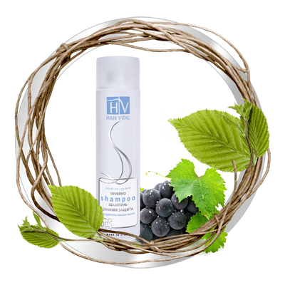 ���� �������. ����������� ���� �� �������� �� 170 ������! ����� ���������� ��� ������ ���� �����. �������� ���������� ������������� �������! ���������� ��������. �����3.