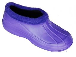 ���� �������. ����� 