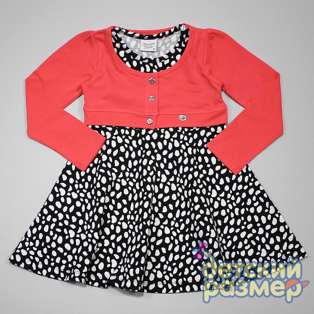 ���� �������. ������� ������ 5.��������.