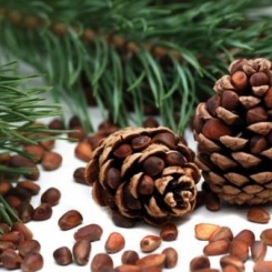 ���� �������. ��� �����- �������� ��������� ������� �� �������������: ����������������� ����� � ���������� �� ��