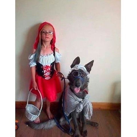 �� ������ ���� �������� 96 ����!