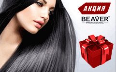 ���� �������. ���������������� ��������� ��� ����� ��������� ������������ Beaver.