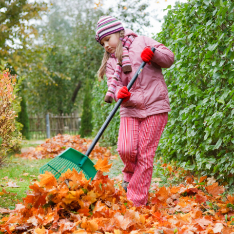 ��� ��������! �ӣ ��� ������� � �������� ��������! �ӣ ��� �������. ���������, ����. ��������, ��������� �����, ������, ��������� �������, �����, ����� � ��. ��� ��! ����� 44.