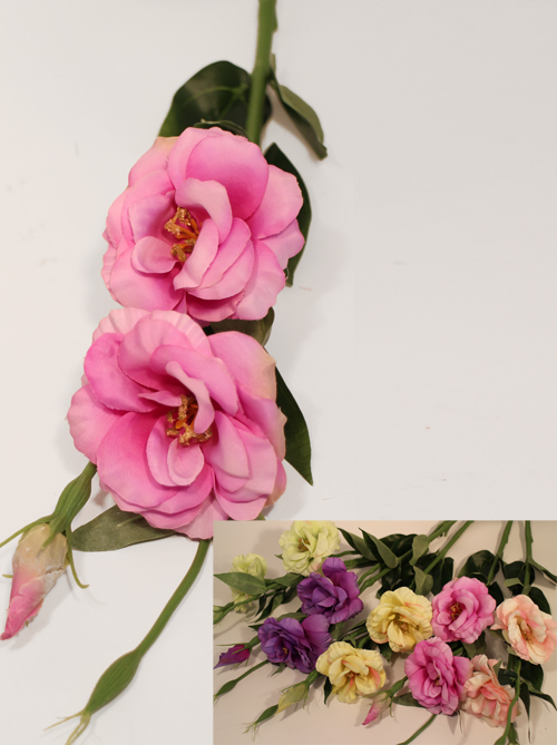 ���������� ��������� ����������� � ��������� ����������, ���������! ����������� �������!!! - 15