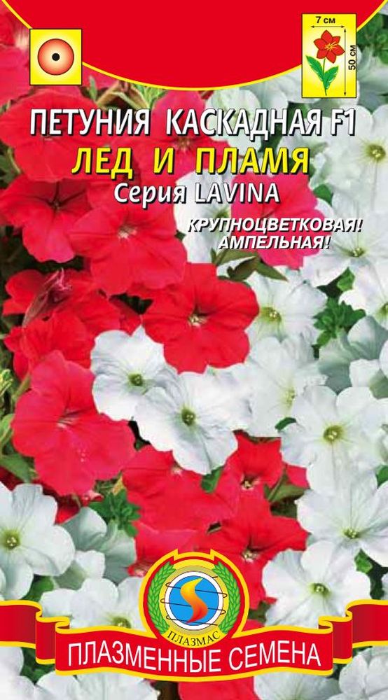 ���� �������. ���������� ������. ����� 3. ���� 14 �������.