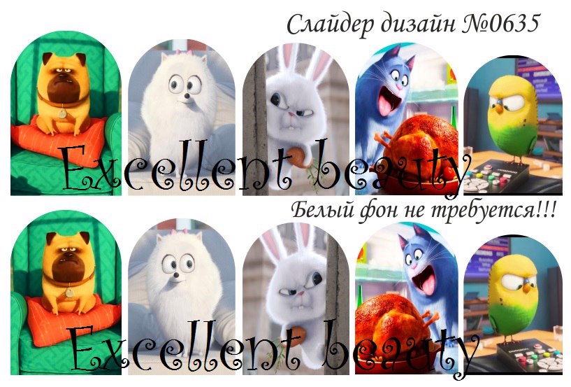 ���� �������. �������-������ �� Excellent beauty - 23 ��� ��. ����� 2/ 16