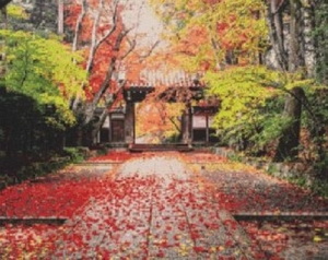 ���� �������. ������������� ���� ����������? �����! ������� �� �������, �������, �������� �������, �������� �� ������� , �������� ���������� � ��������� ���������� � ��������. ���� �� ������� �� 100�!!! ������� ������� ������� � ��������� 3D.