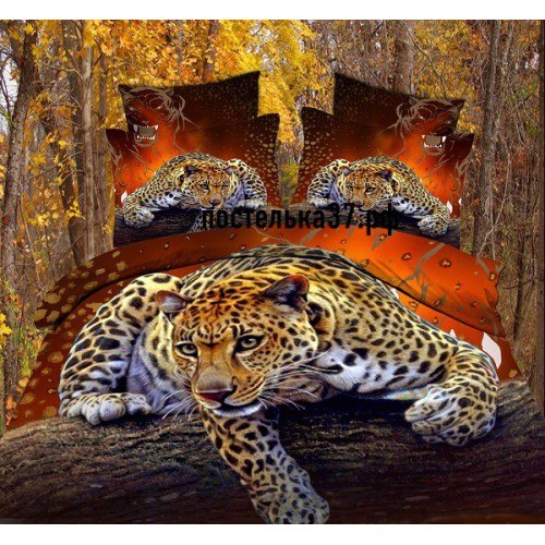 ���� �������. �������� � ������������ ���, ���������, � �ӣ, ��� ��� ���������� ��� ��������-���� ������ �����, �� ����� ������ �����. ����� 2.