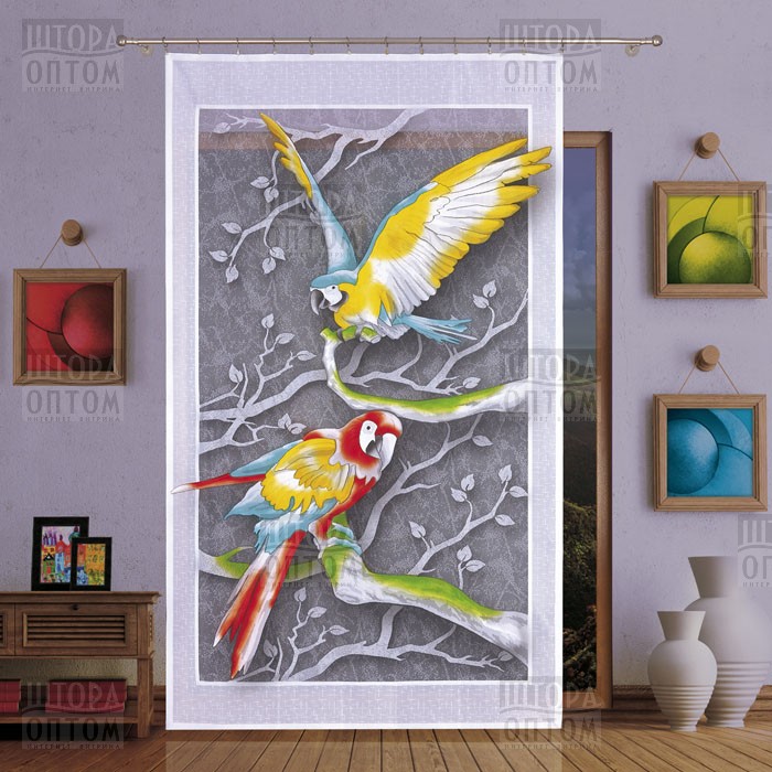 ���� �������. �������� �����. ����������� �������� �������� �������- 31. ��������� ��������� � �����, �����, ����