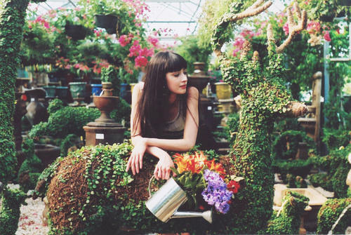 ���� �� ����������� ������� ����� ����������� �������