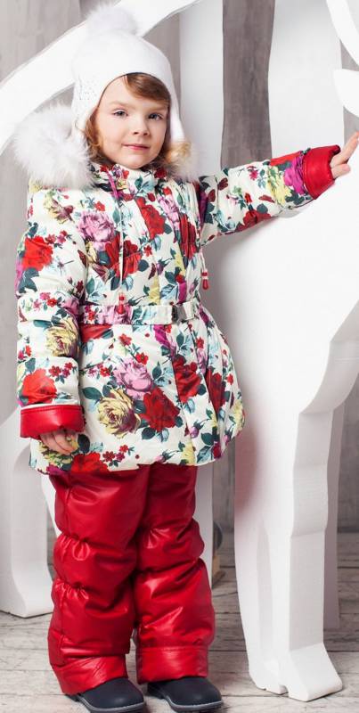 ���� �������. ������ ������� � ������ �������, �����������, ������ � ����� �� �����. �������� � ��������. ��������