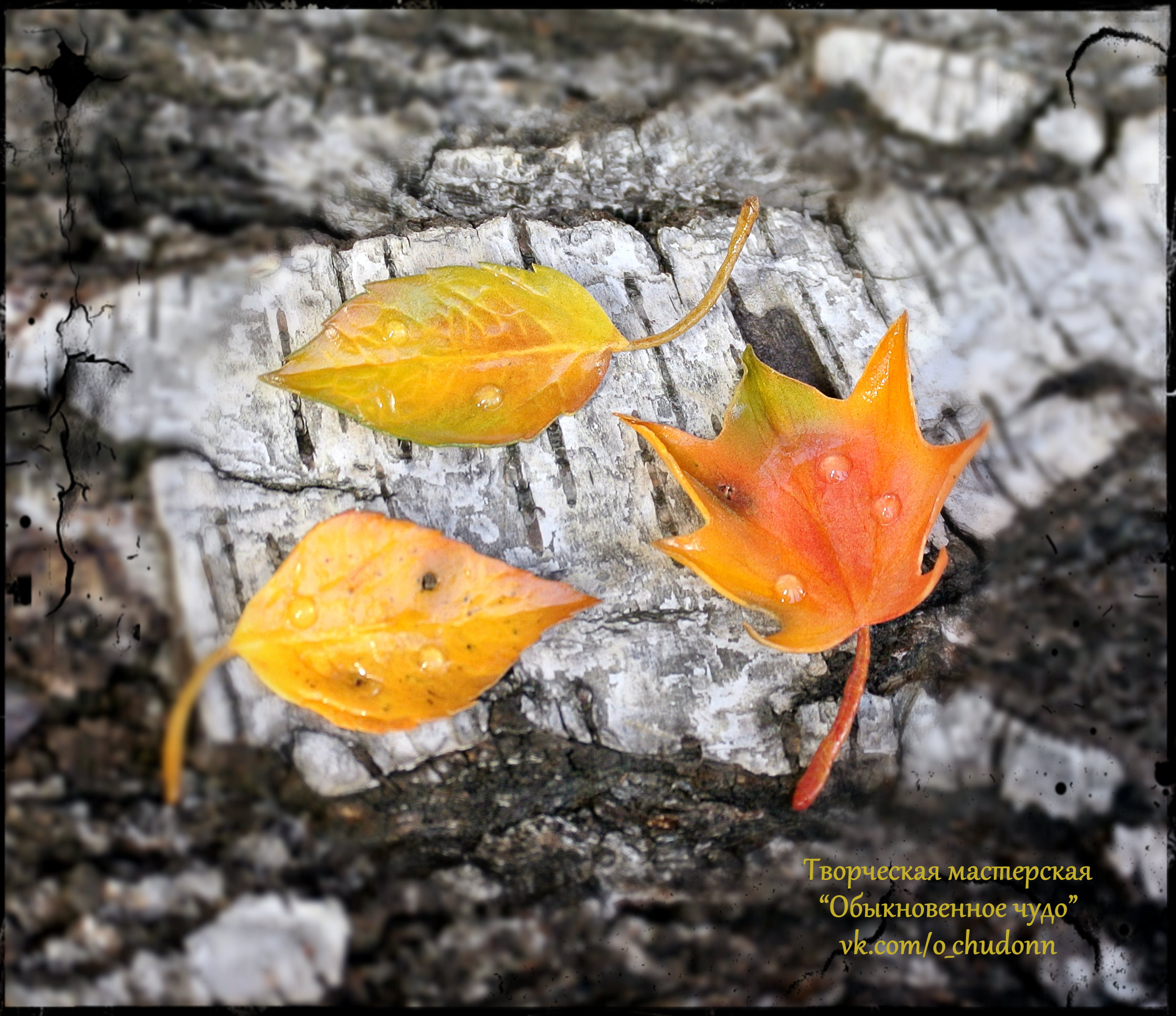 ���������� ������-����� �� ����!