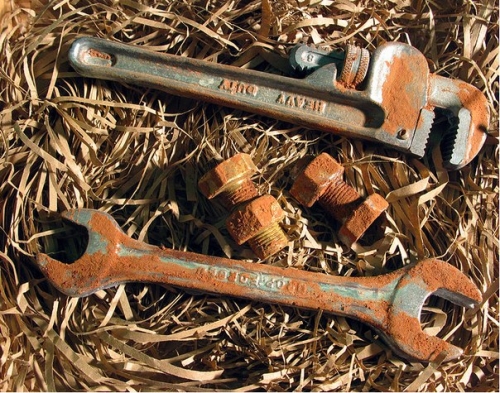 19 ������ �������� ���� ����������. ��� ��� ����� �������? ������� ��� ���������� �������!