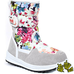 ���� �������. ��������� � �������, ����������. ��������� ������� � ������� ������. ����.