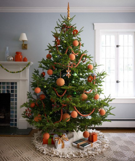 ���� �������. ���������� ������������� ���� Erbis, ������������ ��������, ������ � �������� �� ������������� ����