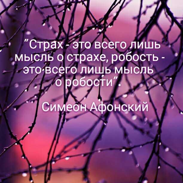 �������� ���