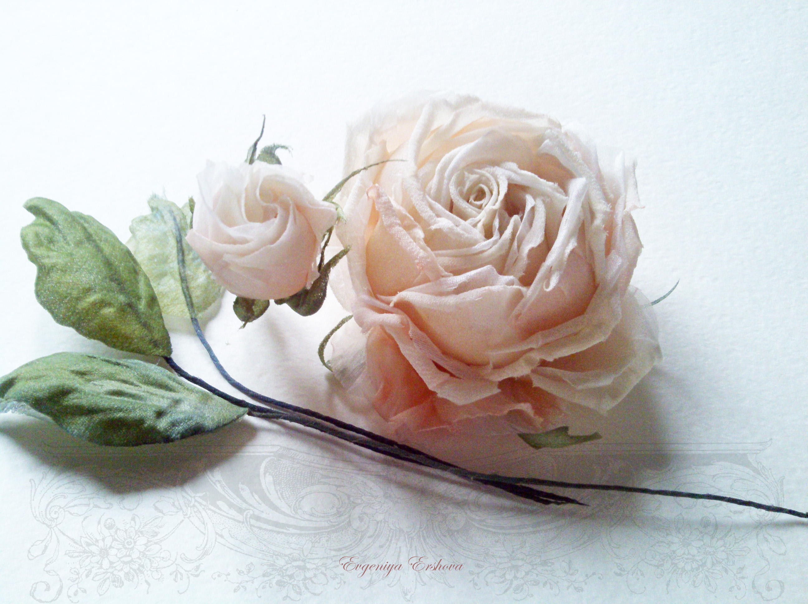 �������� �����!!! �������� ����������!:)))