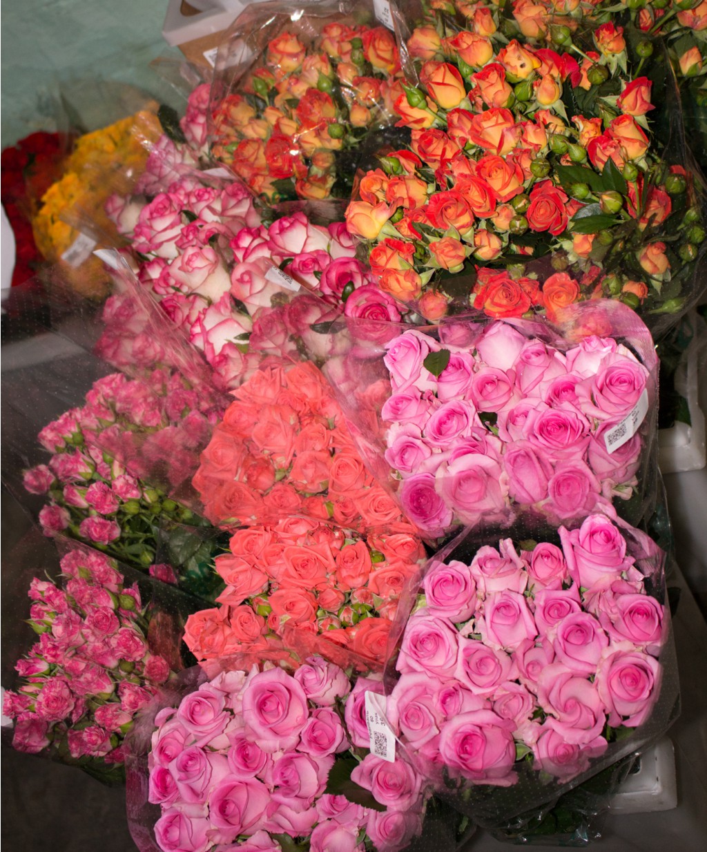 ���� �������. ������ ����� ������ ���! ������� �� ����� ������ �������������� ����. ���� ��� ������� ������. ����� 2