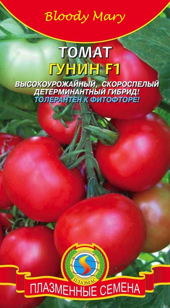 ���� �������. ���������� ������ - ������, ������, �����, �����. �������� ����������� ������ ������ � ������. ��� �����