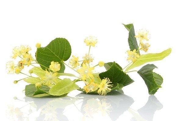 ����� ����