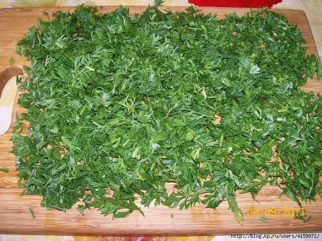 ����� �������� �����