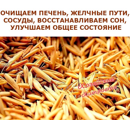 ������� ������, ������� ����, ������, ��������������� ���, �������� ����� ���������