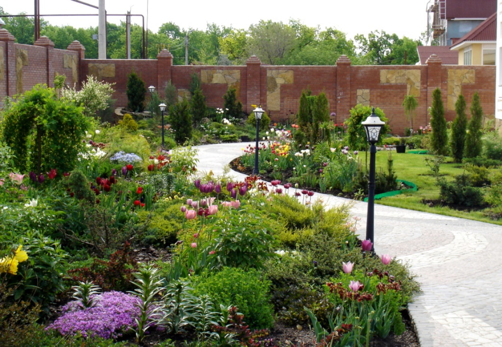 ������� �������, �����������-���������� �������, ���������, ������, ��������� �������� � ������ ������. �������� �������� ���� �� ����� 2017�