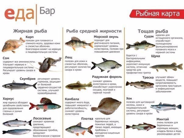 �� ��� ��� �� ������ ����