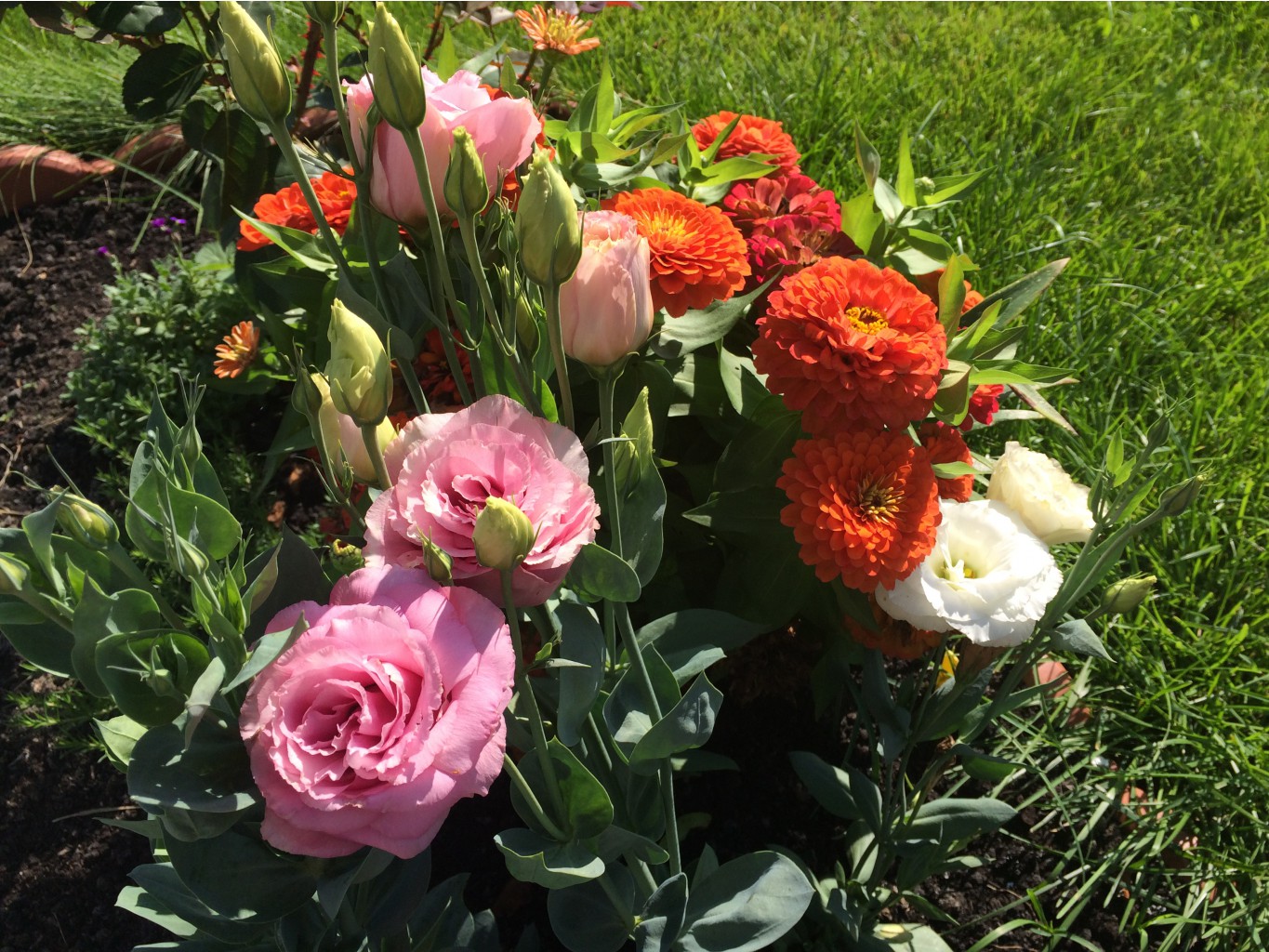 ���������������� ������ ��������. ������� � ������ ���������. ����� 2.